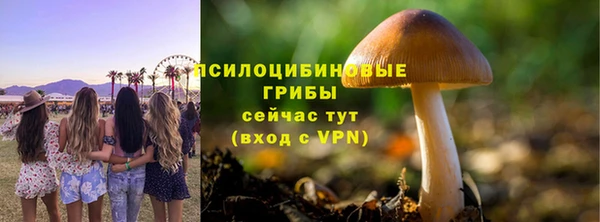 mdpv Ладушкин