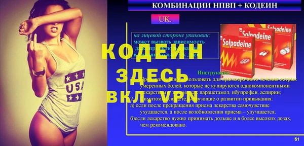 хмурый Лиски