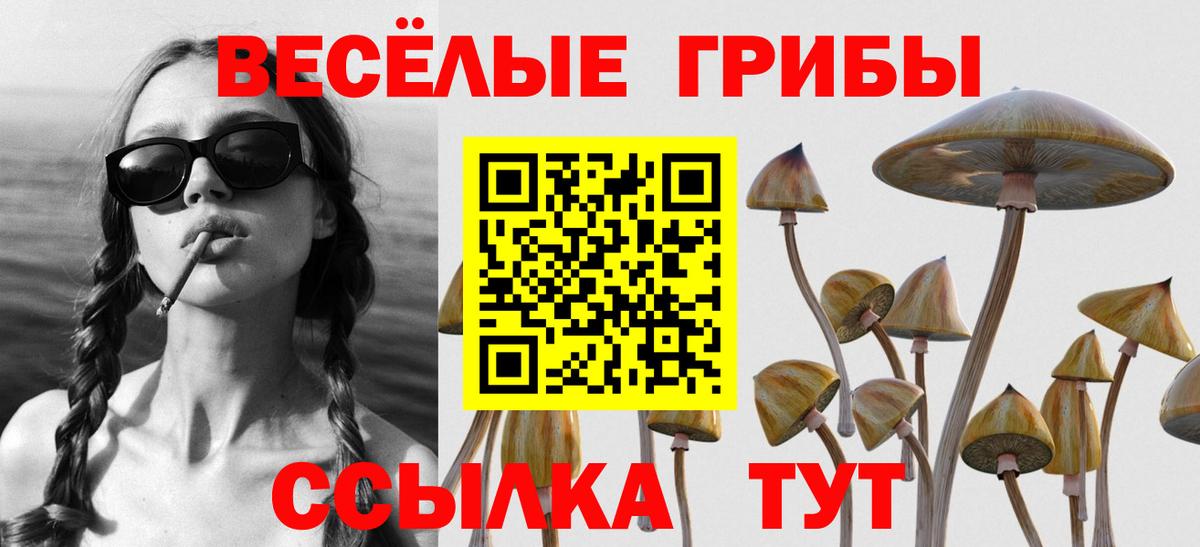 Галлюциногенные грибы Cubensis Узловая