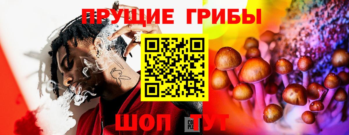 Псилоцибиновые грибы мицелий  Вход с VPN  Узловая 
