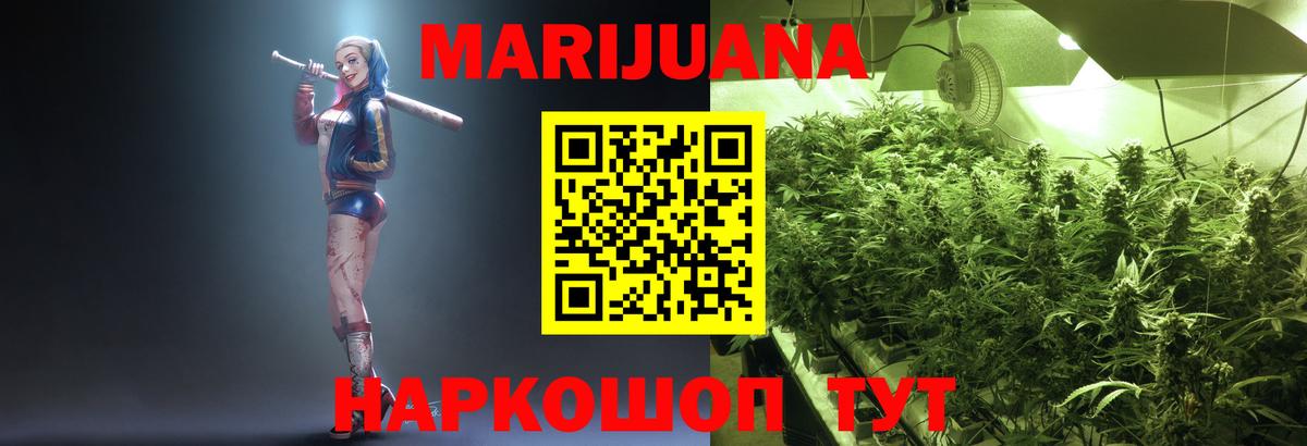 Конопля планчик Узловая